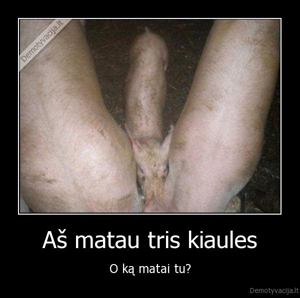 istvirkeli, tu, jobanas