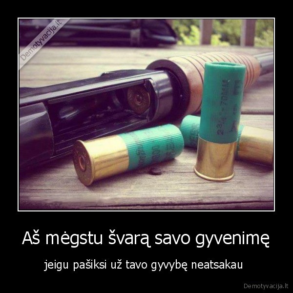 Aš mėgstu švarą savo gyvenimę