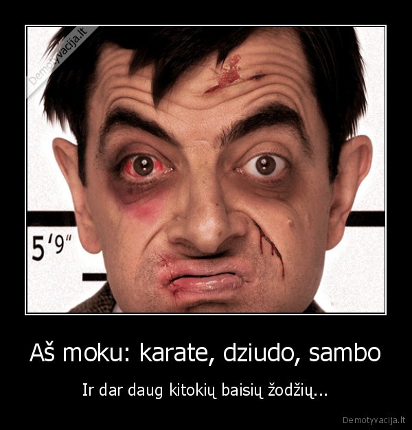 bean,bynas,karate,dziudo,sambo,zodziai