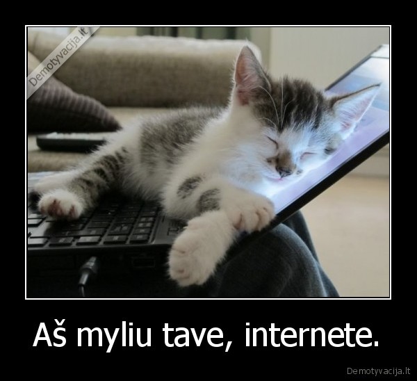 Aš myliu tave, internete.