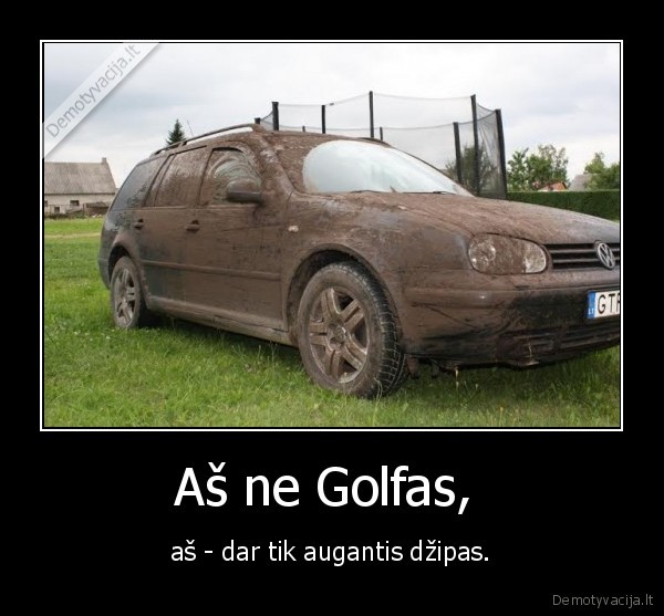 dzipas,golfas,purvas