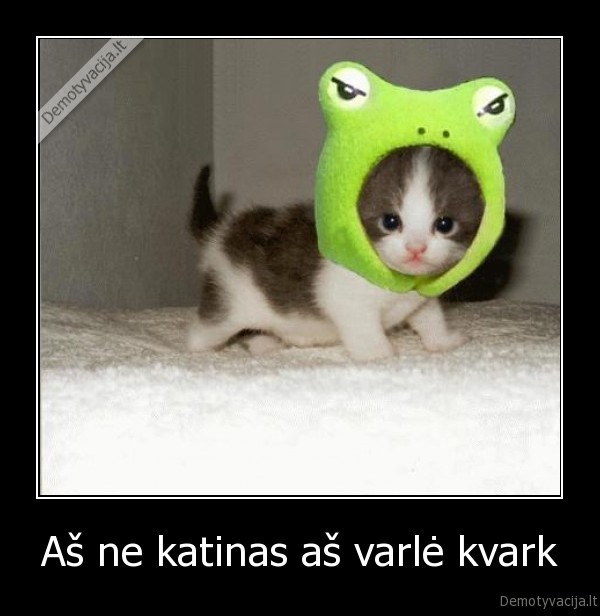 Aš ne katinas aš varlė kvark