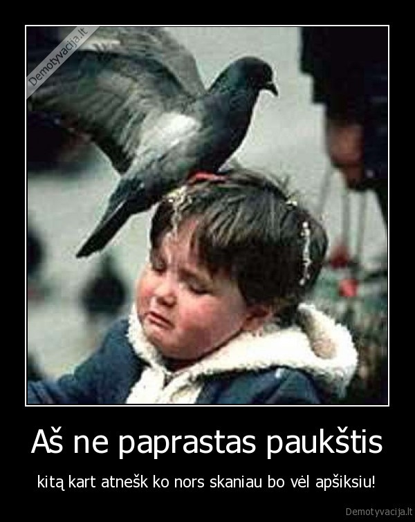 apsiko, paukstis,apsiko, balandis,ne, paprastas, paukstis