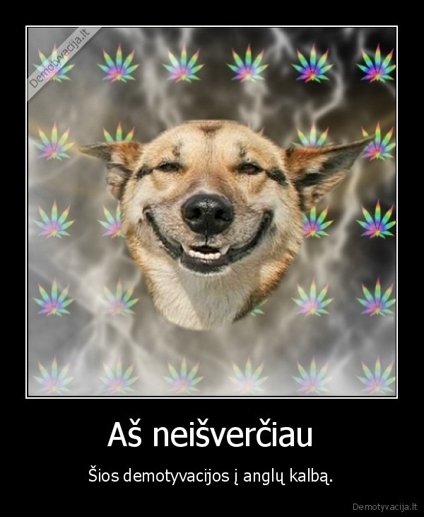 dar, as, nevalgau, vaiku, ir, negeriu, alaus, be, degtines.smoriginas, erzina,nedzinskas