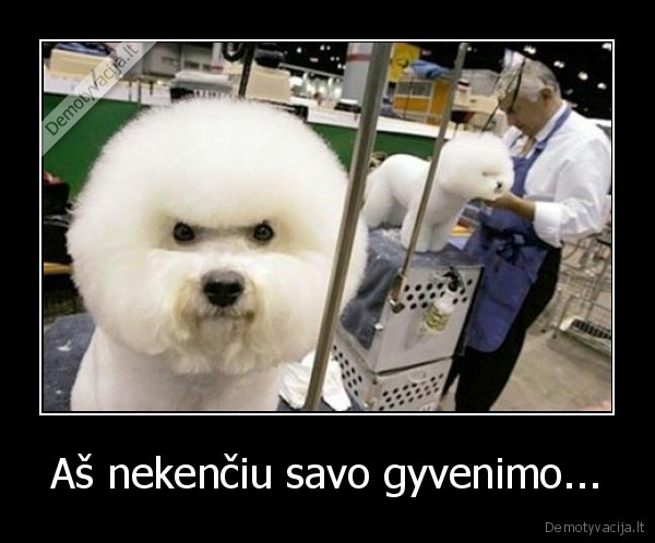 Aš nekenčiu savo gyvenimo...