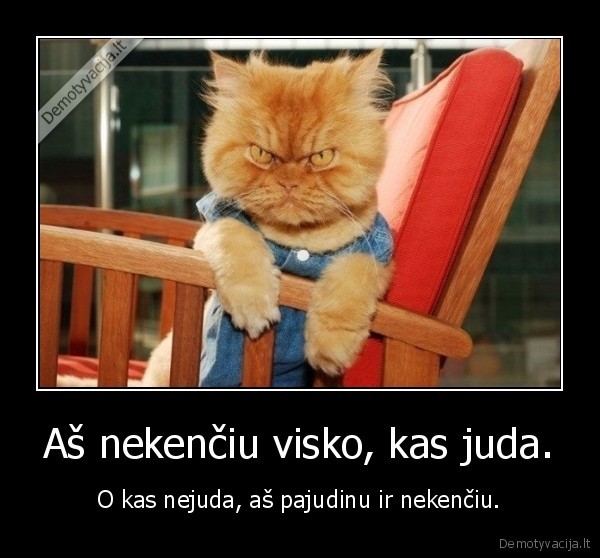 Aš nekenčiu visko, kas juda.