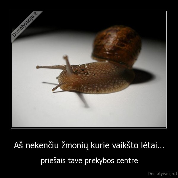 Aš nekenčiu žmonių kurie vaikšto lėtai...