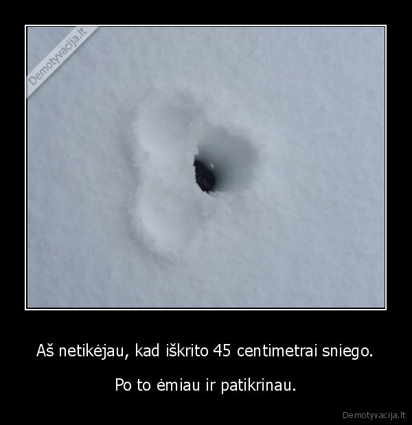 Aš netikėjau, kad iškrito 45 centimetrai sniego.