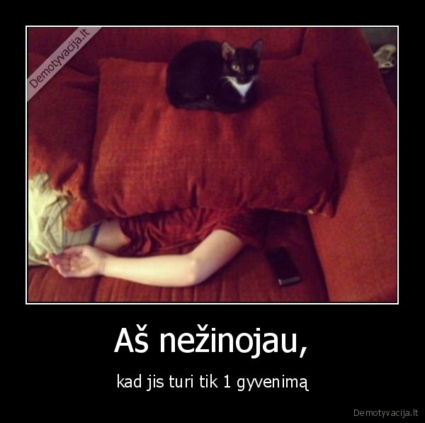 tik, vienas,gyvenimas,katians