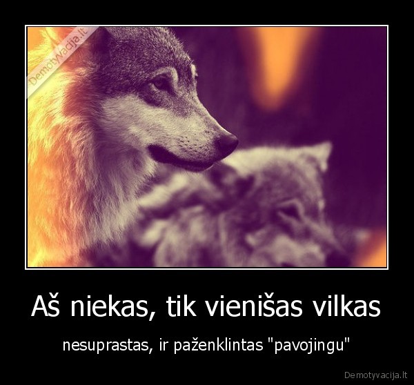vilkas,vyras,vienisas,nesuprastas,pavojingas