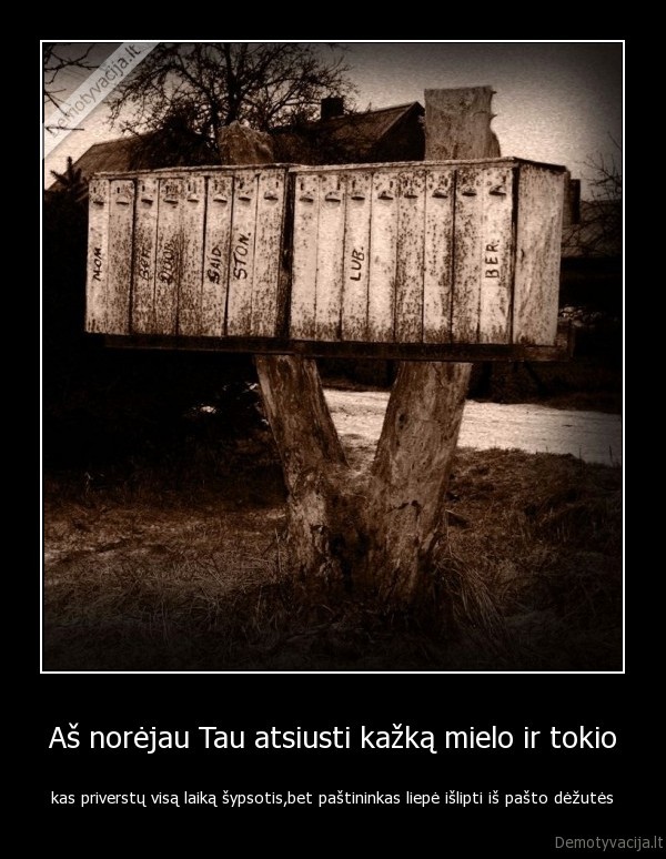 draugas,pasto, dezute