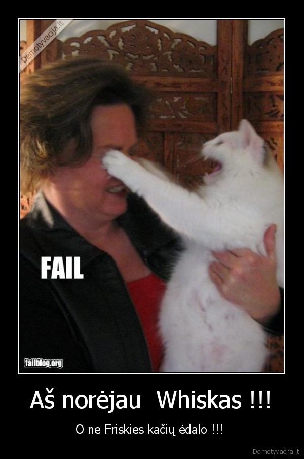 kate,kaciu, maistas,kova