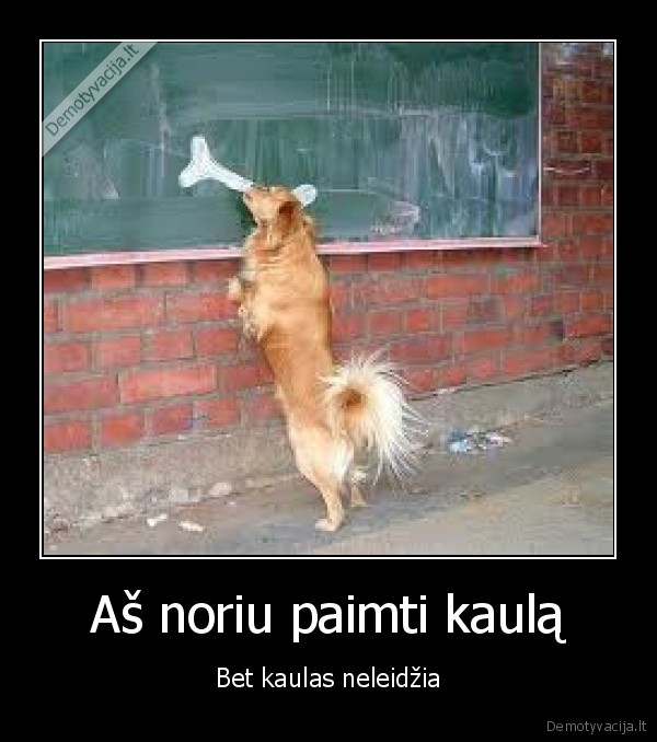 suniukas, nori, kaulo