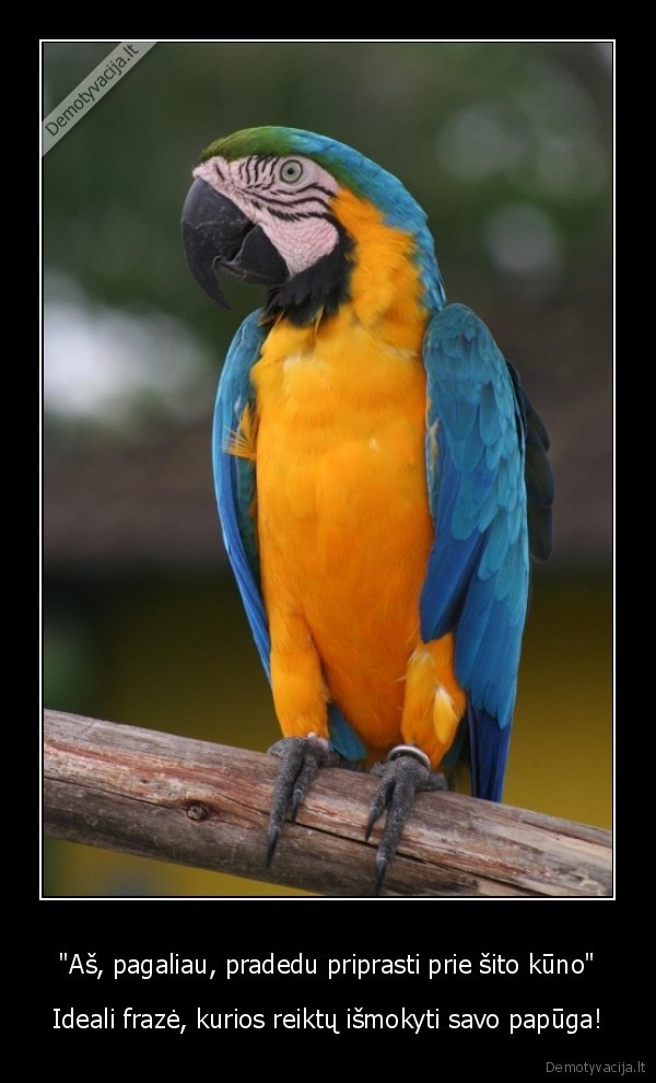 "Aš, pagaliau, pradedu priprasti prie šito kūno"