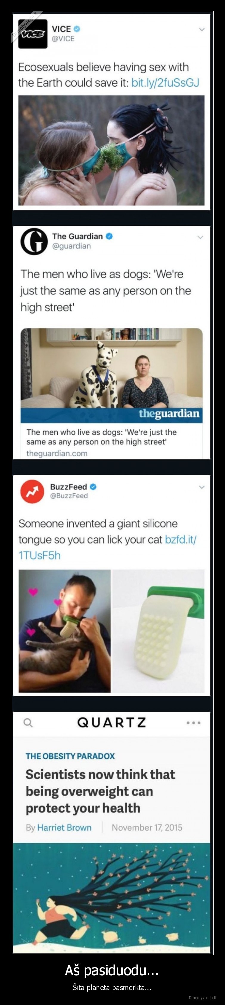 naujienos,tyrimai,absurdas