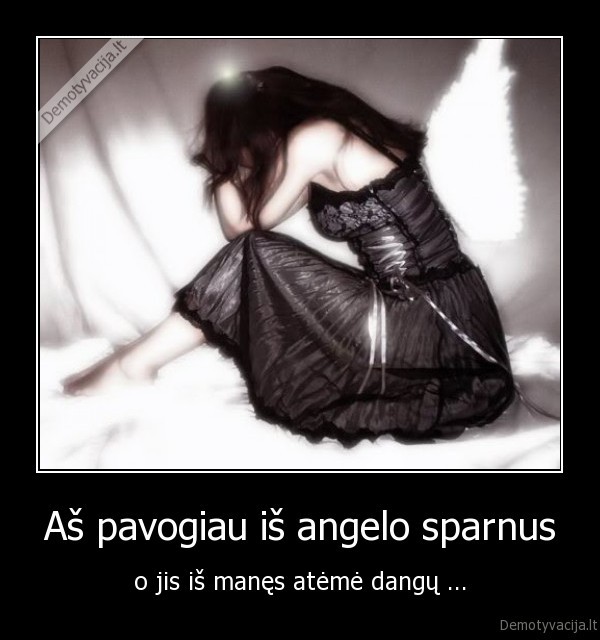 angela,sparnai,dangus