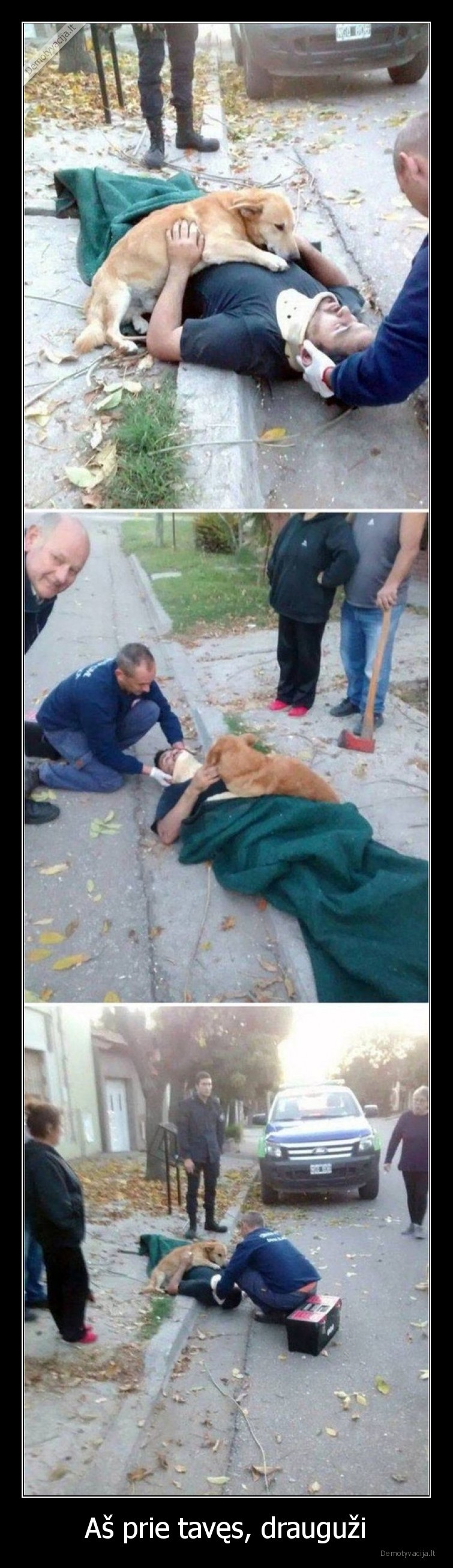 draugas,suo,draugyste