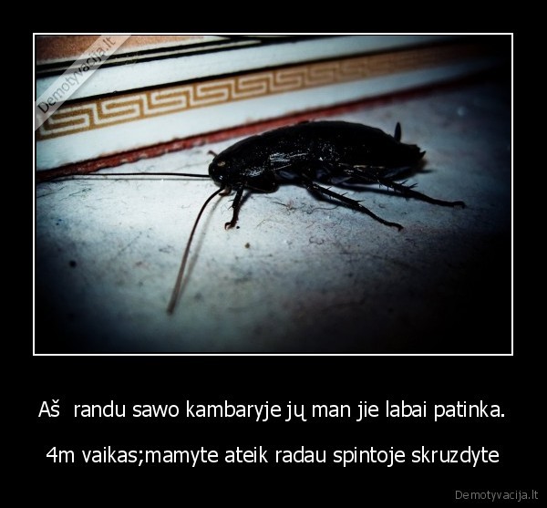 Aš  randu sawo kambaryje jų man jie labai patinka.