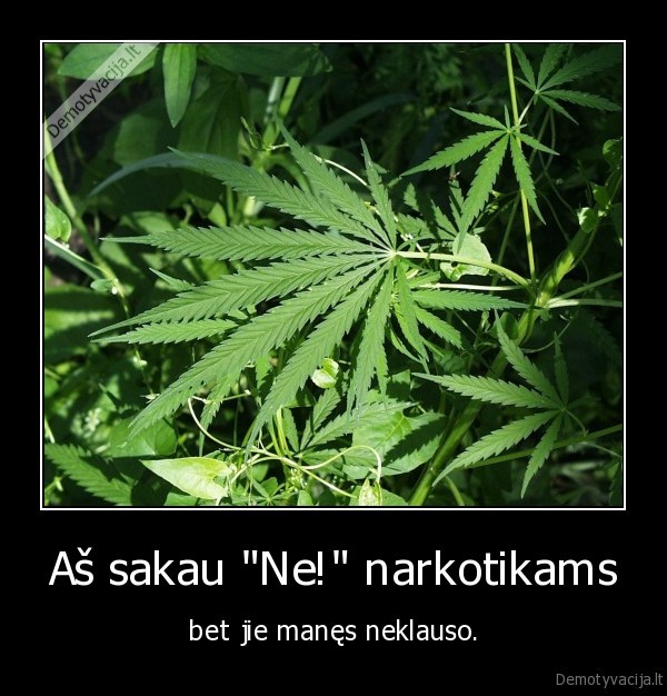 marijauna., drugs., narkotikai., zole., dziaugsmas
