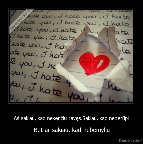 Aš sakiau, kad nekenčiu tavęs.Sakiau, kad neberūpi