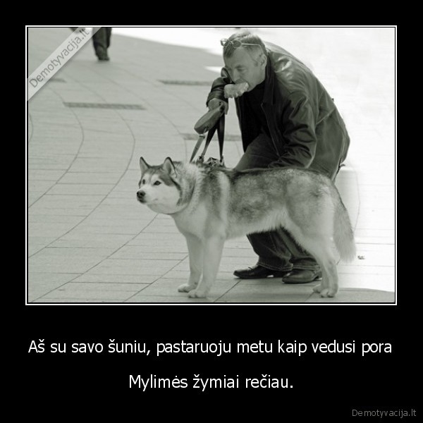 Aš su savo šuniu, pastaruoju metu kaip vedusi pora
