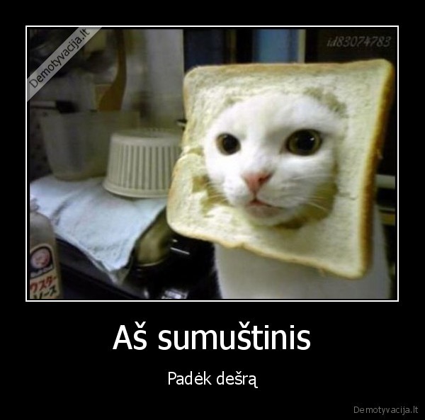 kubilius, klauso, techno