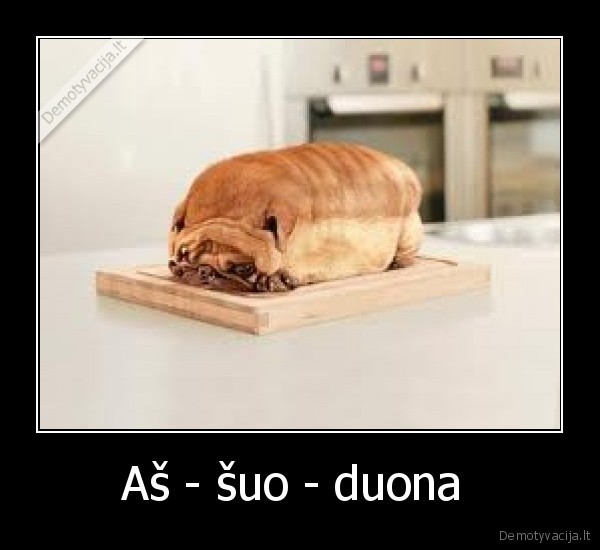 Aš - šuo - duona 