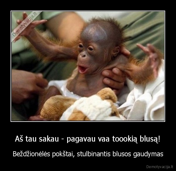 Aš tau sakau - pagavau vaa toookią blusą!