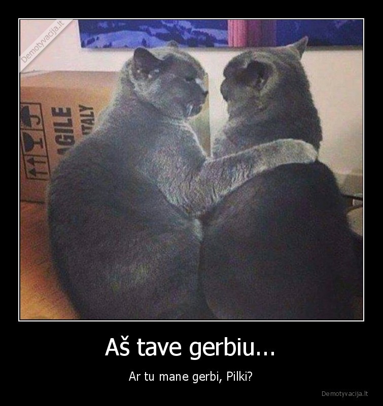 girti, katinai,pagarba