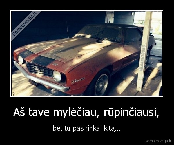 masina,sena,nesirupina