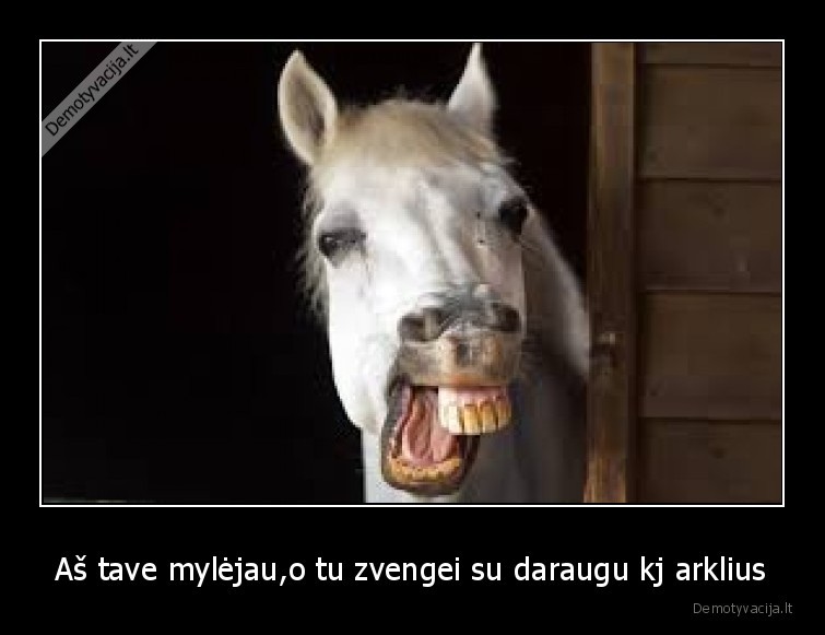Aš tave mylėjau,o tu zvengei su daraugu kj arklius