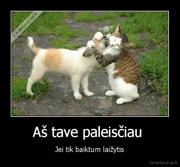 Aš tave paleisčiau 