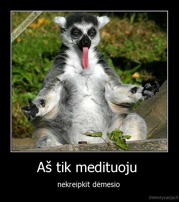 Aš tik medituoju 