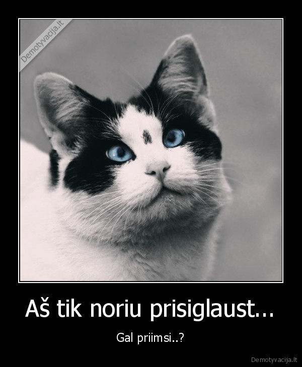 Aš tik noriu prisiglaust...