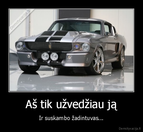 Aš tik užvedžiau ją