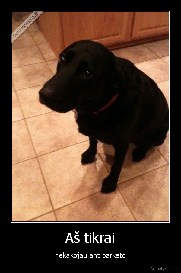 suo, sua, sou, sa, s