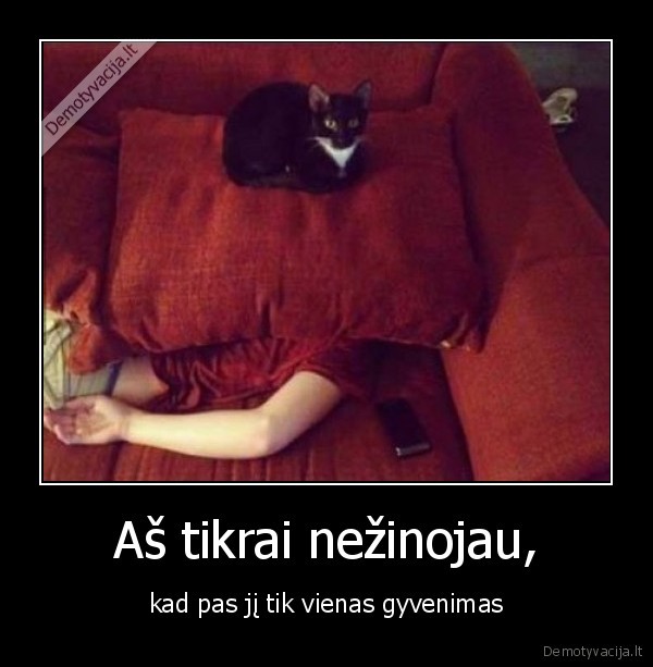 gyvevnimas,zmogus,katinas