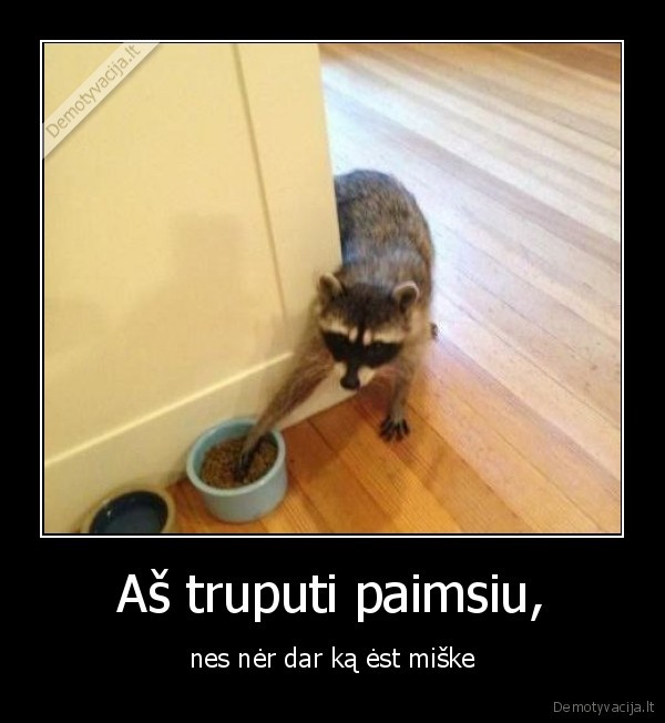 Aš truputi paimsiu,