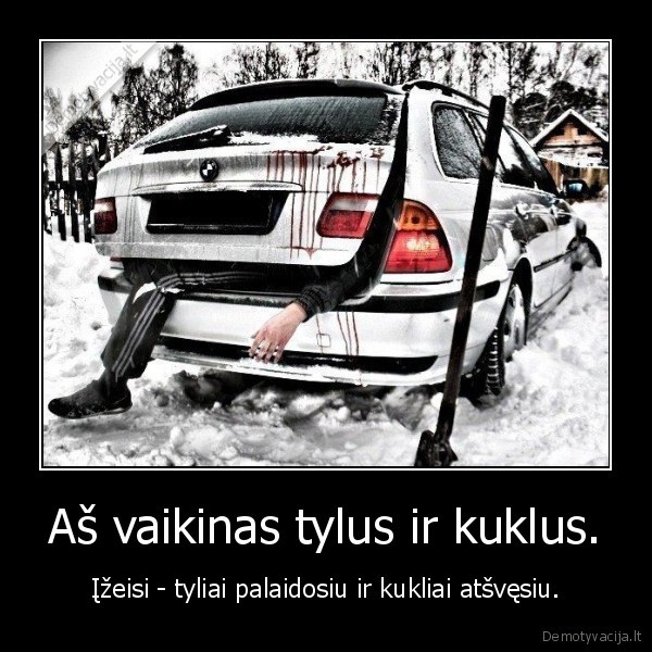 Aš vaikinas tylus ir kuklus.