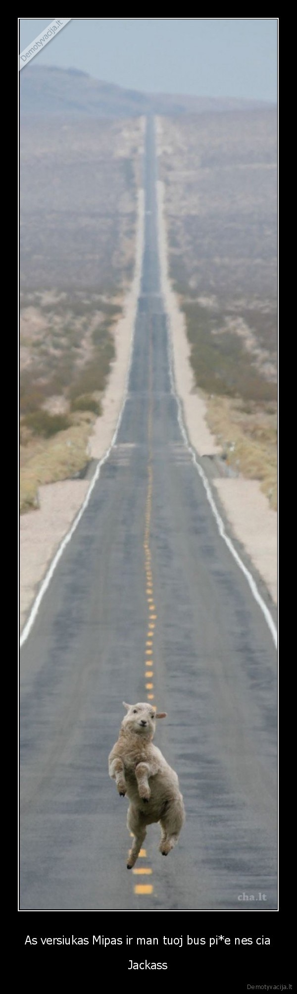 As versiukas Mipas ir man tuoj bus pi*e nes cia