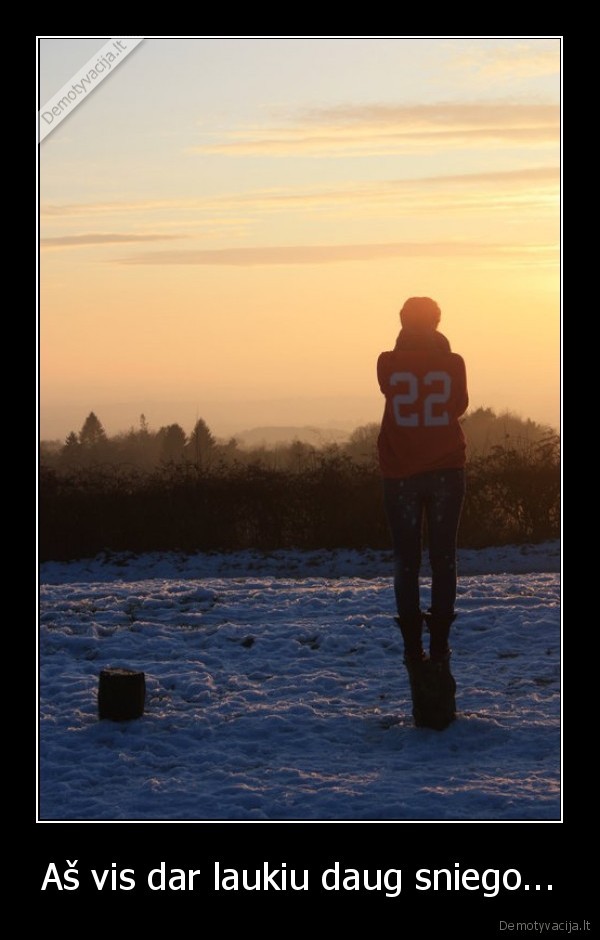 Aš vis dar laukiu daug sniego...