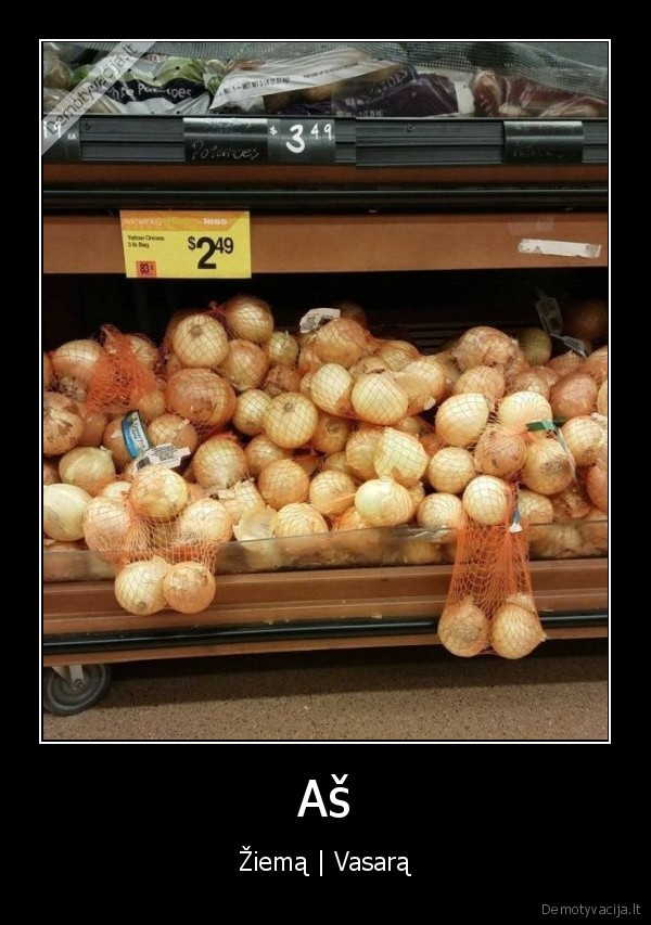 svogunai,kiausai,pautai