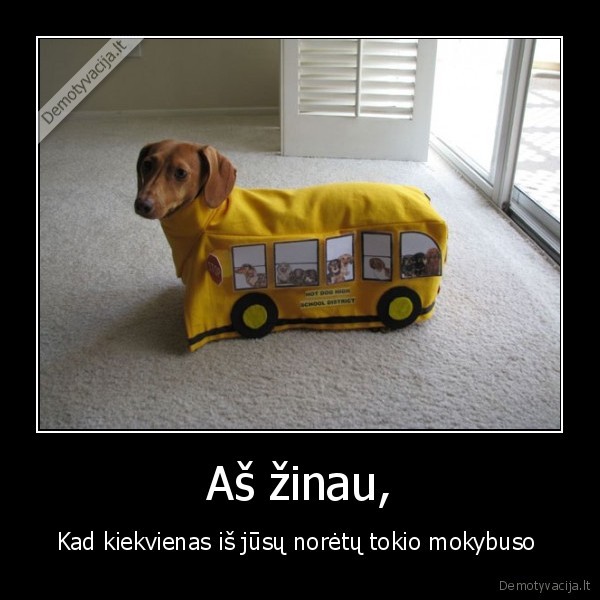 mokykla,autobusas,vaikai,vairuotojas