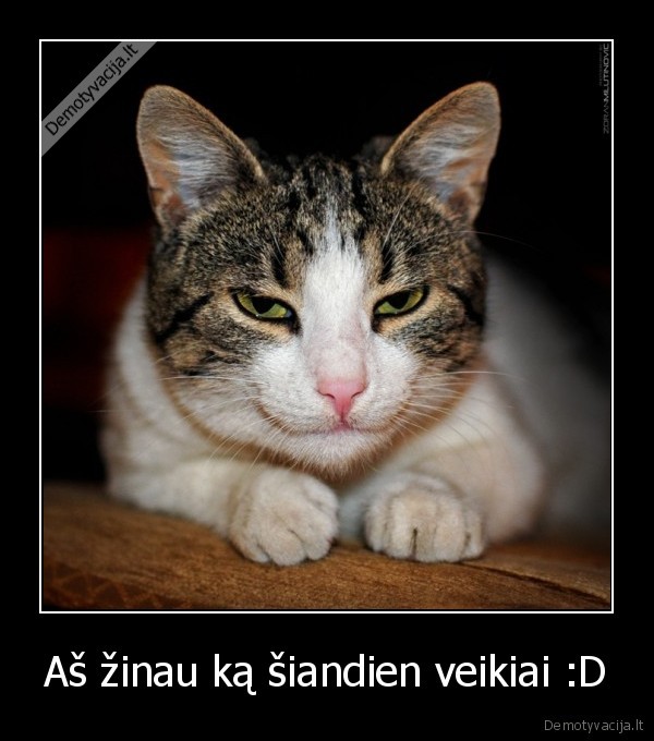 Aš žinau ką šiandien veikiai :D