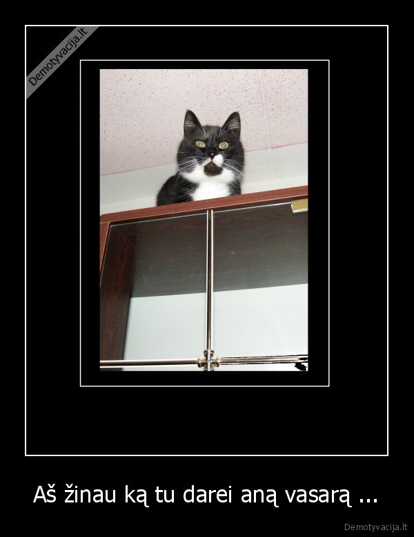 Aš žinau ką tu darei aną vasarą ...