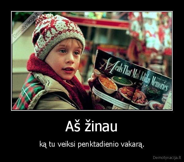 vienas, namuose,kaledos