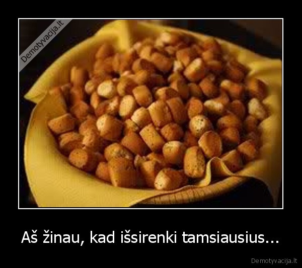 kuciukai,kaledos,lietuva,kokio, velnio, is, vis, skaitai, tas, zymes