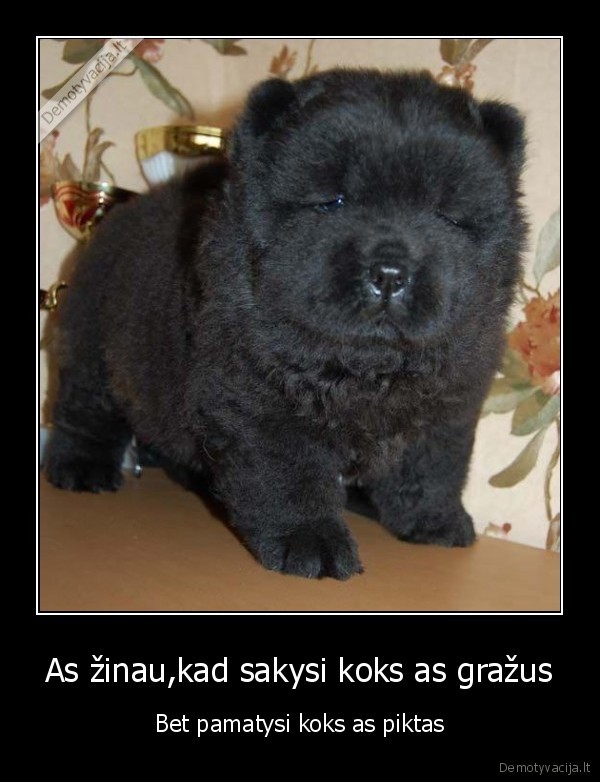 As žinau,kad sakysi koks as gražus