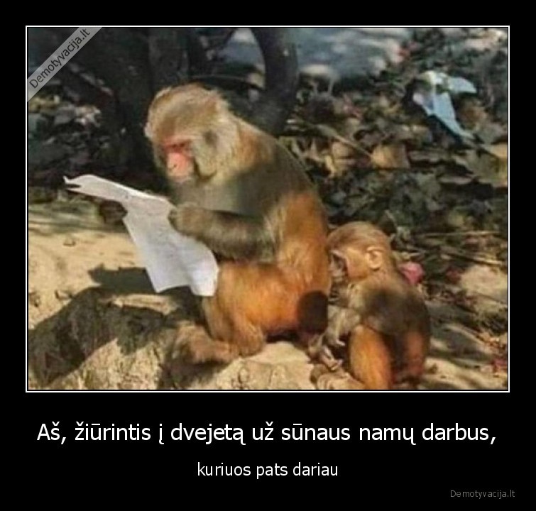 namu, darbai,mokykla,tevas,sunus