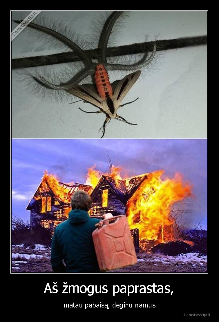 pabaisa,bjauru,namai,sudegti